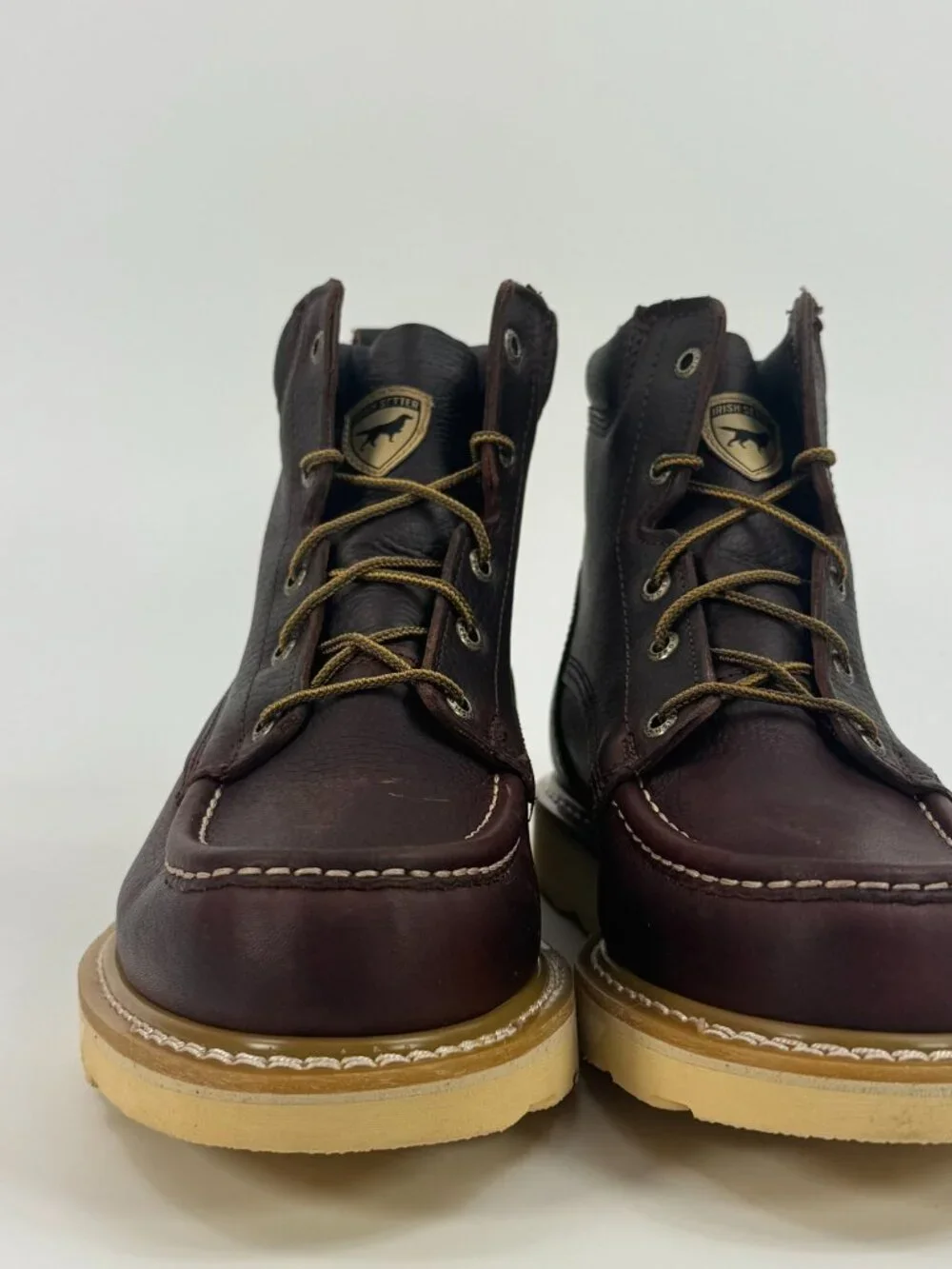 Irish Setter Ashby 6